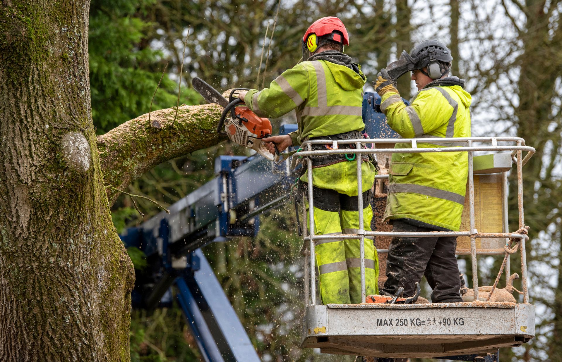 shutterstock 1867803298