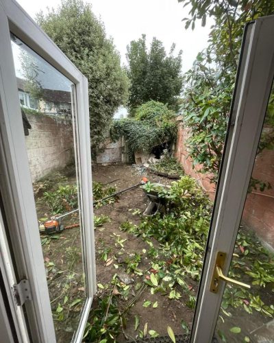 WhatsApp Image 2026-01-26 at 8.47.17 PM (2)